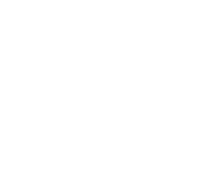 MaxxPav